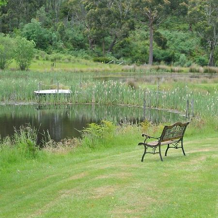 ホテル ハムレット ダウンズ カントリー アコモデーション Fentonbury エクステリア 写真